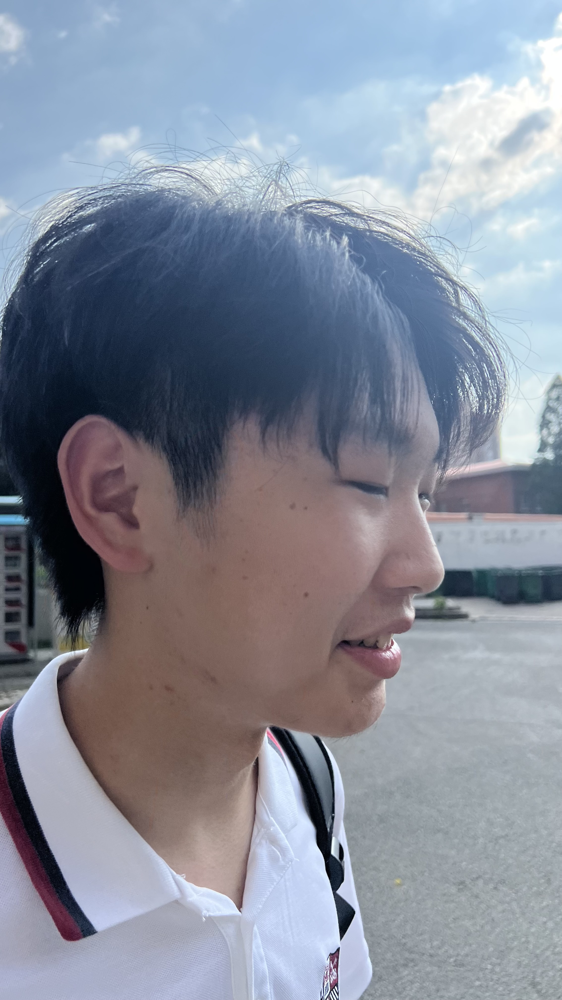照片 10